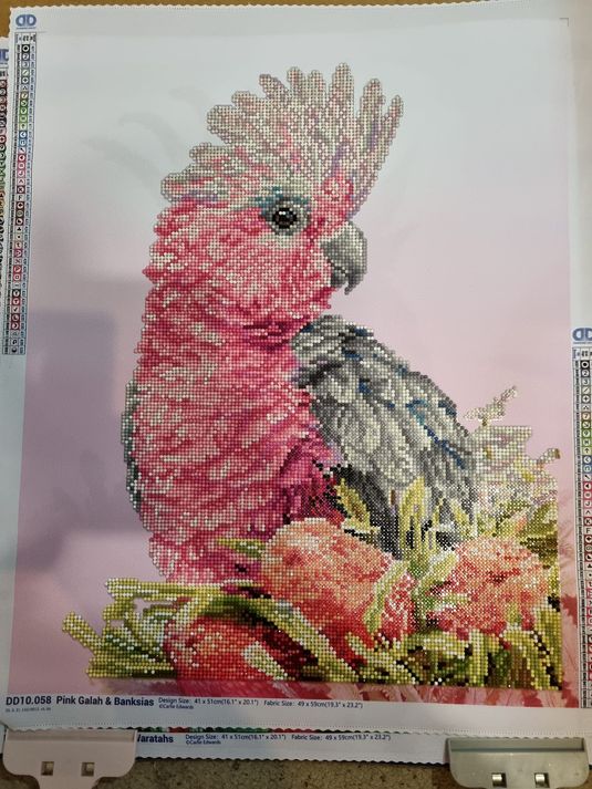 pink.jpg