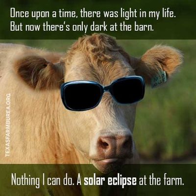 Solar-Eclipse-At-The-Farm.jpg
