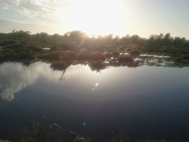 2011 Floods - just one of a series of photos I took way back when!