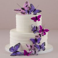 Butterfly cake.jpg