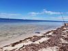 Resized_20180304_105009_7848.jpg