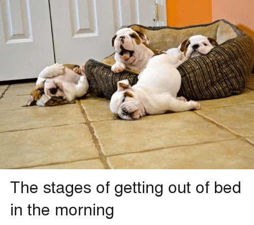 the-stages-of-getting-out-of-bed-in-the-morning-3142301.png