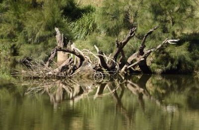 Love trying to capture reflections