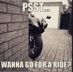 Ride.JPG