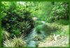 GorgeousGorge.jpg